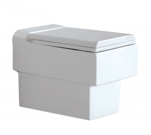 MÃ SP : FNS-WHT-40951